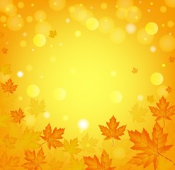 Season frame with autumn leaves