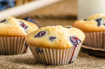 Blueberry muffins