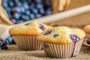 Blueberry muffins