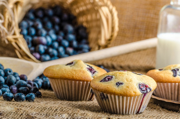 Blueberry muffins