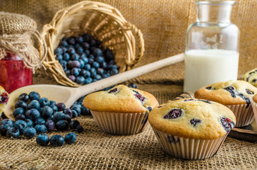 Blueberry muffins