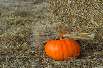 pumpkin in the hay