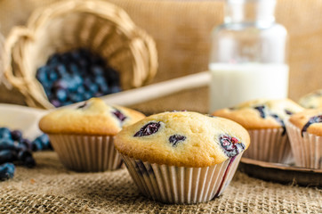 Blueberry muffins