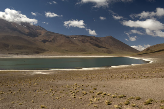 Laguna Altiplanica, Atacama Desert, Chile