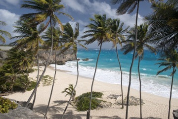 Obraz premium Barbados Island, Caribbean sea