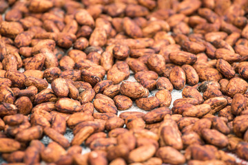 Raw cocoa beans background