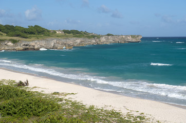 Fototapeta na wymiar Barbados Island, Caribbean sea