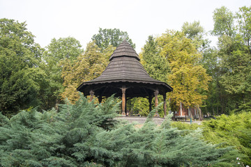 Park Jasnogórski © Zbyszek Nowak