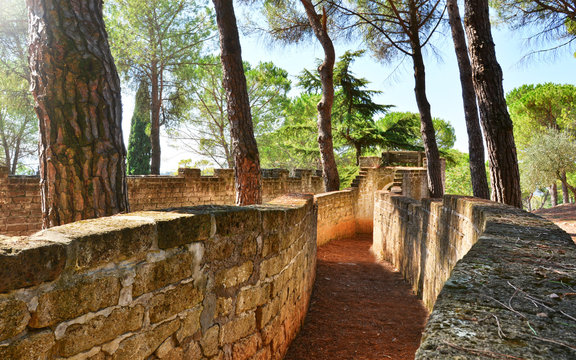 labirinto 