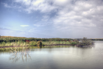 Lake reserve in the Netherlands