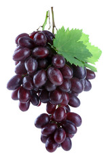 Fresh ripe grapes, isolated on white
