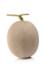 melon isolated on white background
