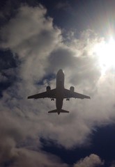 flight