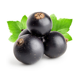 Four black currant with leaf