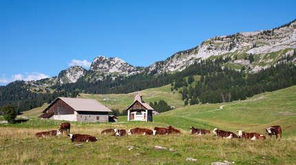 Notre Dame des Neiges sur le plateau des Glières