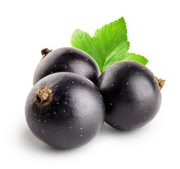 Three black currant with leaf
