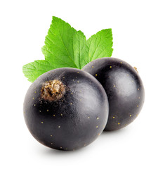 Two black currant with leaf