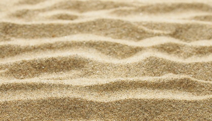 sand background and texture 