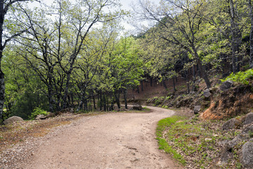 Camino de Navalpilón. Sierra de Gredos. Avila