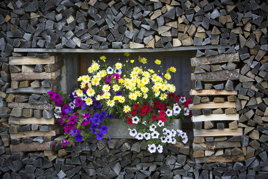 Fototapeta Blumenfenster, Almhütte, Brennholz