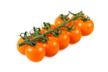 Fresh Yellow Baby plum tomatoes, on branch. isolated on white background.