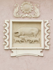 relief with pigs