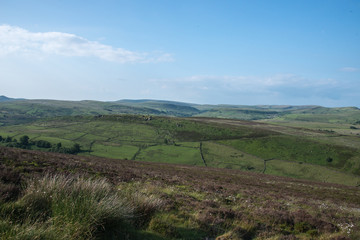 Fields in the Peak District on a bright day