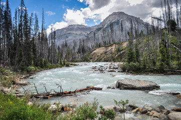 Kootenay landscape