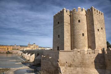 Fototapeta na wymiar vistas de la ciudad monumental de Córdoba, Andalucía