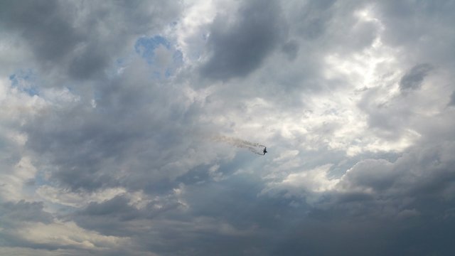 Fototapeta Myśliwiec