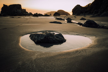 Rock at low tide on a pacific coast