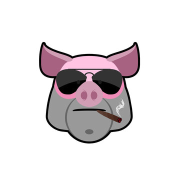 Angry boar. Pig head with glasses and a cigarette. Animal farm i