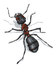 vector ant 