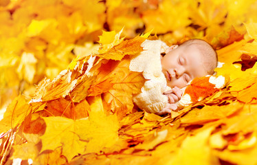 Autumn Baby Sleeping, Newborn Kid Fall Yellow Leaves, New Born Child