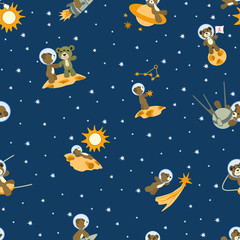 Bears-spacemen