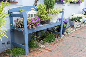 blue garden bench / Blue garden bench in front of the house with flowers and decoration