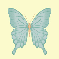 beautiful butterfly  in a hand-drawn graphic style in vintage colors