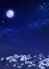 Obraz na płótnie Canvas nightly sky, natural background