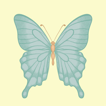 beautiful butterfly  in a hand-drawn graphic style in vintage colors