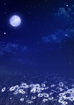 
nightly sky, natural  background