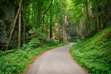 Fototapeta premium Abandoned asphalt road in a deep green forest with rocks