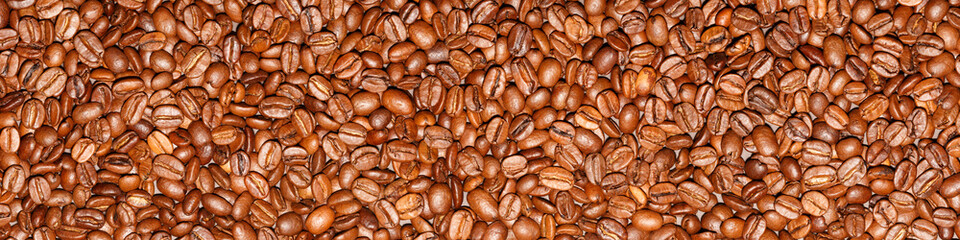 Panorama - viele Kaffeebohnen