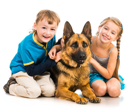  children with a shepherd dog 