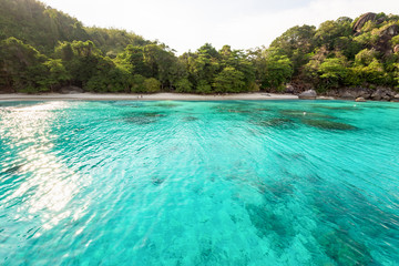 Fototapeta premium Honeymoon Bay and beach in Similan island, Thailand