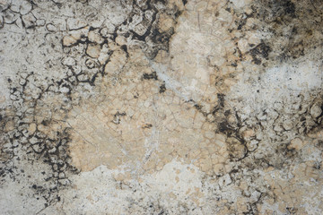 Background old cement floor 1