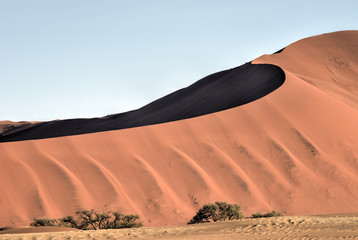 Fototapeta na wymiar Hidden Vlei, Namibia