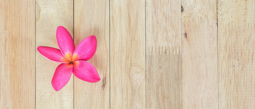 Plumeria flower on wood floors