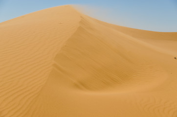 Fototapeta na wymiar Sahara desert landscape with blue sky. Dunes background.