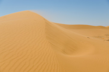 Fototapeta na wymiar Sahara desert landscape with blue sky. Dunes background.