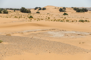 Sahara desert landscape with blue sky. Dunes background.